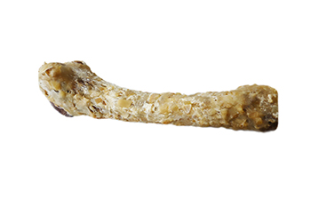 Goat Bone Meaty Chew - rawhide covered